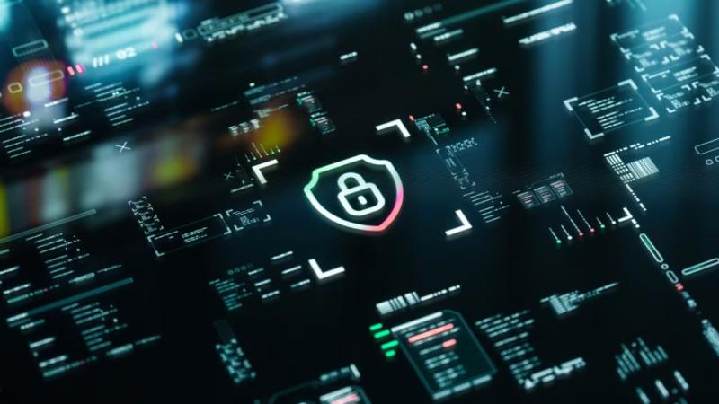 长沙县软件开发公司
